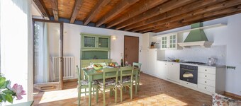 Orchidea in Hilly Area