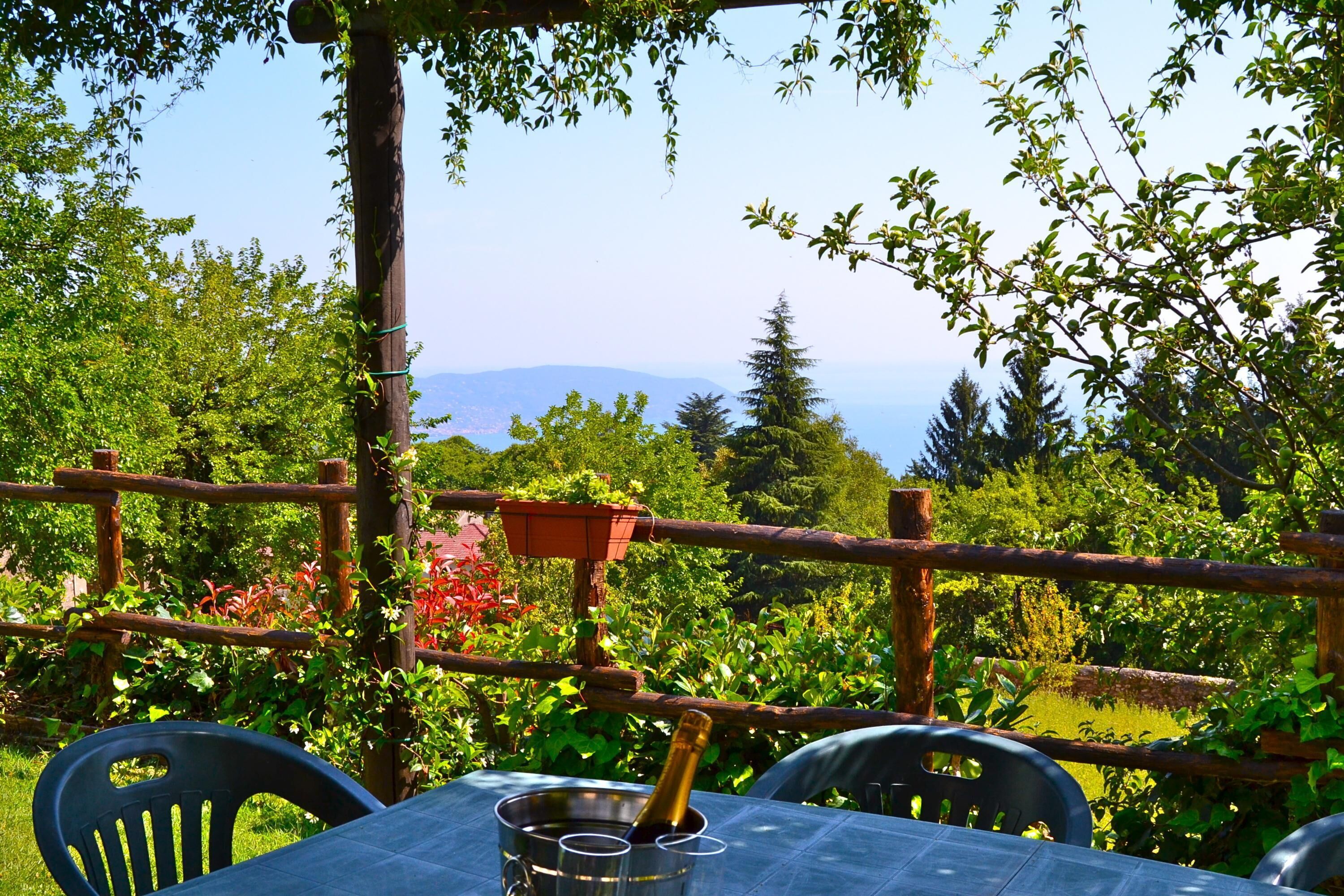 An outdoor table with a bottle of champagne, surrounded by greenery and a wooden fence.