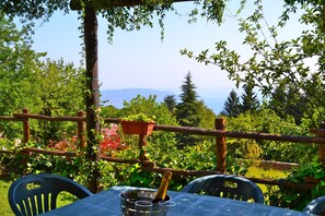 Apartment - Orchidea in Hilly Area (Gargnano)