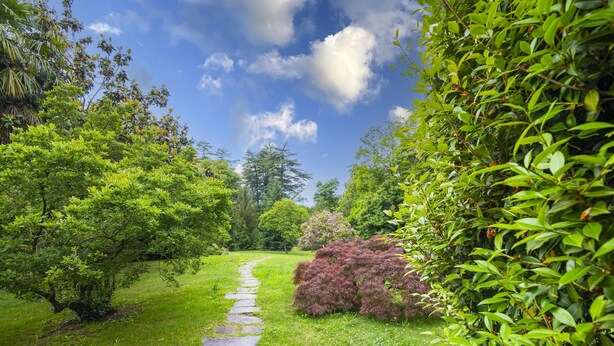 Un chemin de pierres serpente à travers un jardin luxuriant, où le feuillage est dense et le ciel d’un bleu éclatant.