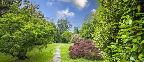 Apartamento, acessível | 3 quartos