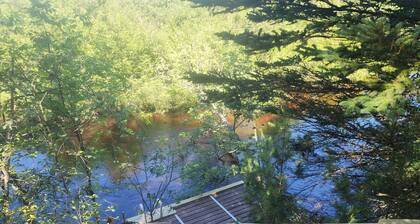 Cozy 3-bedroom cottage on the river in peaceful Free Soil!