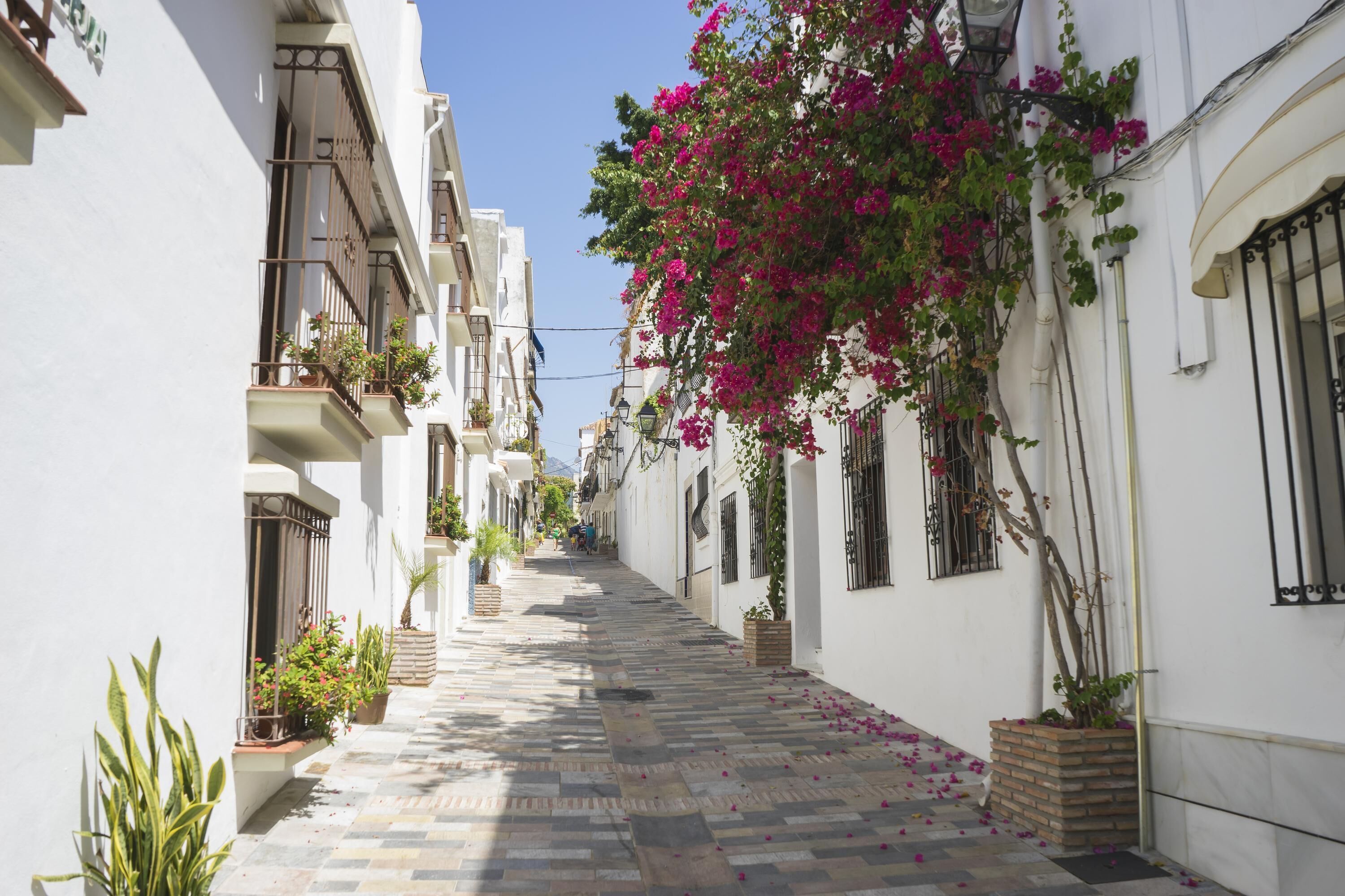 Apartment | 2 bedrooms