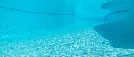 An underwater view of a swimming pool with a lane divider.