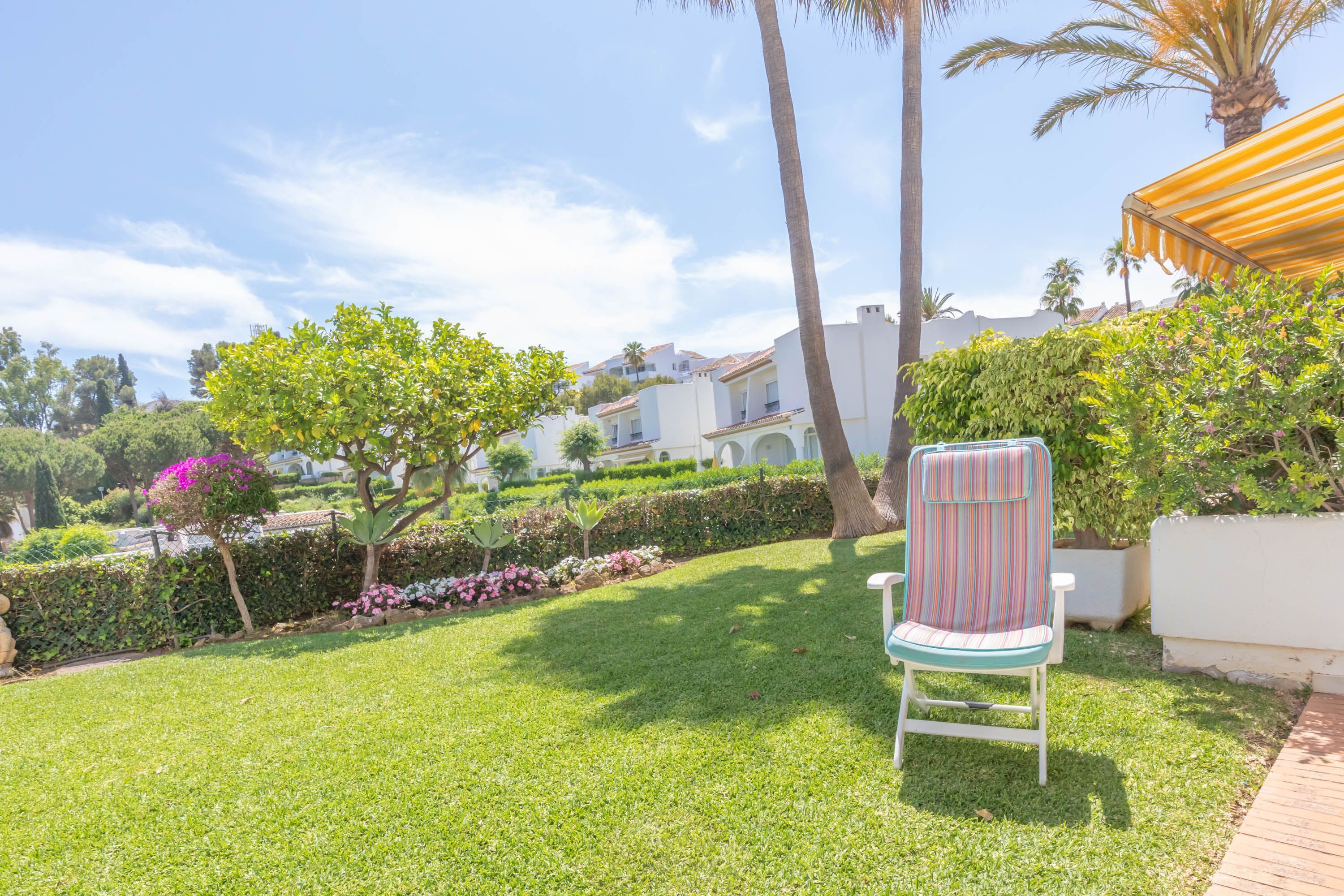 A grassy outdoor area with a chair, palm trees, and a building in the background.