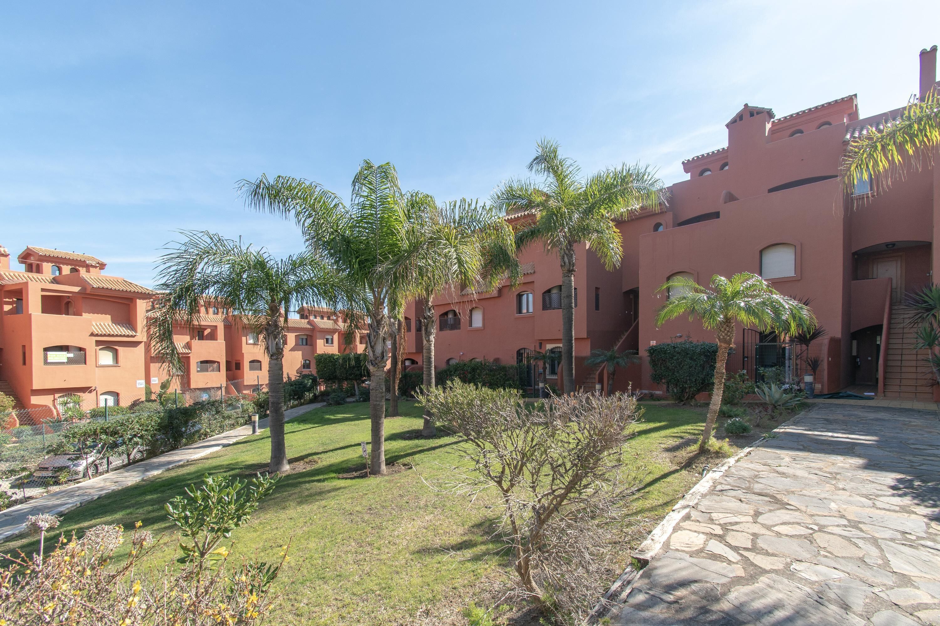 A courtyard with palm trees, a stone pathway, and buildings with terracotta roofs.