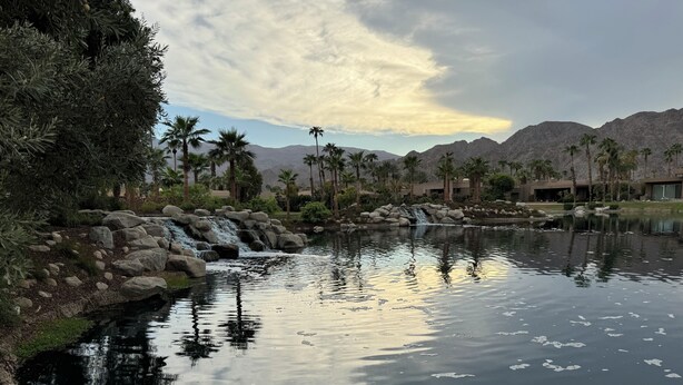 A serene landscape with a pond, palm trees, and a waterfall.