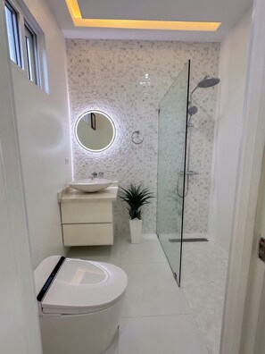 Hair dryer, towels, toilet paper