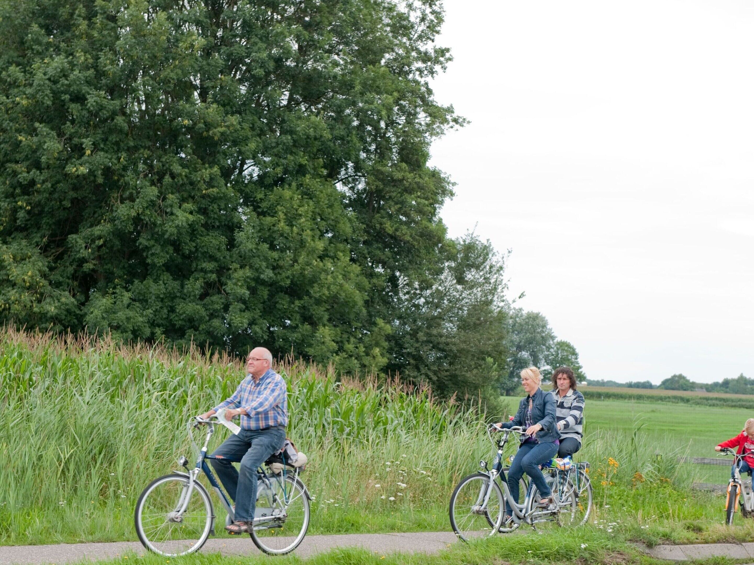 Three people riding bicycles on a paved path with tall grass and trees in the background.
