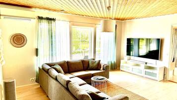 Smart TV, fireplace, books, stereo