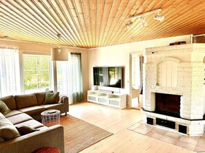 Smart TV, fireplace, books, stereo