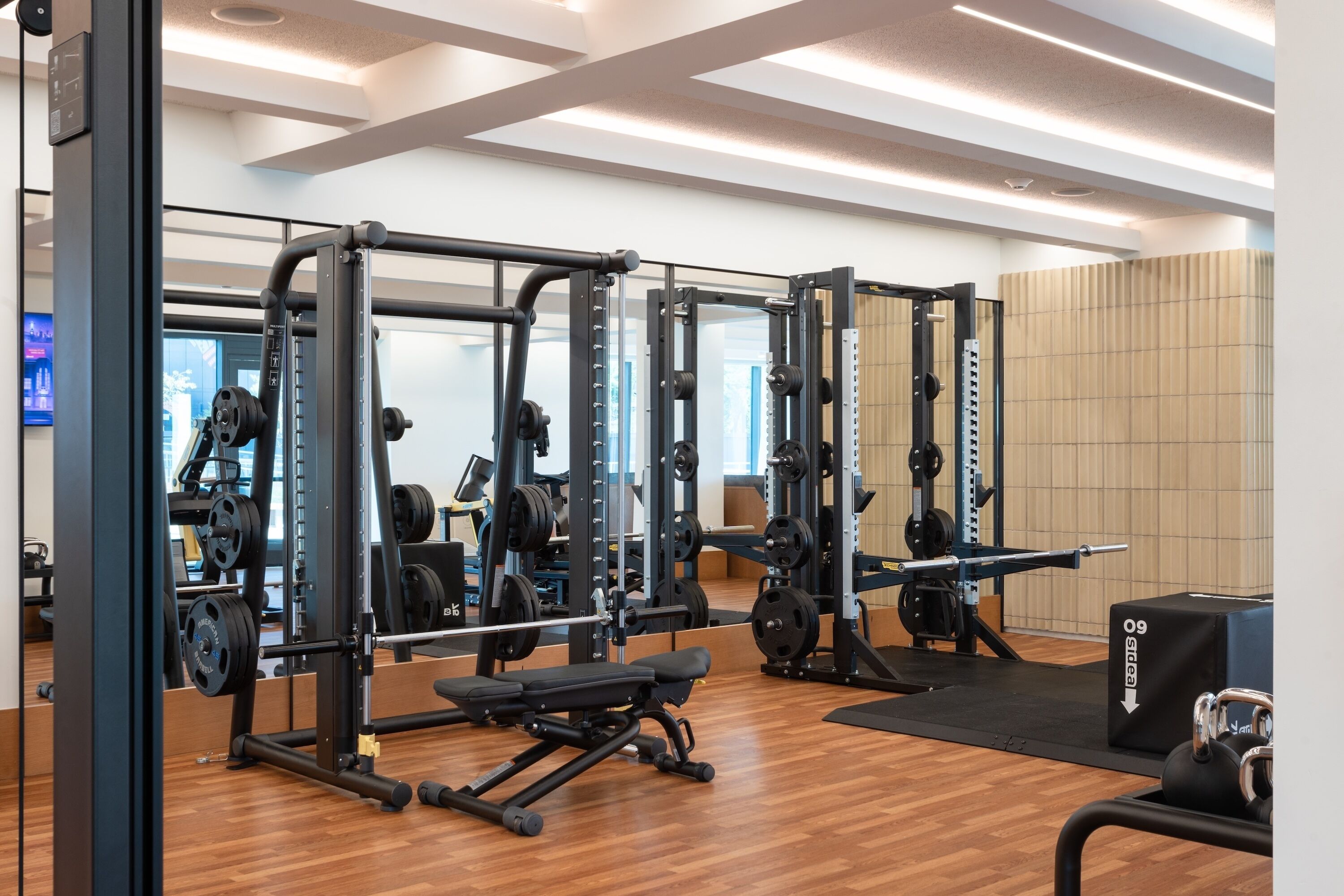 A gym with various weightlifting equipment, a bench, and a weight rack.