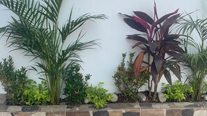 A stone planter with various green plants and a large palm tree. - Hostal Las Orquideas 2 (Manta)