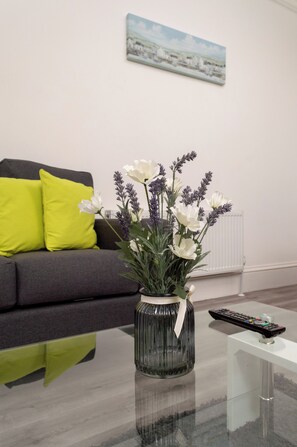 公寓 | 起居区 | 电视