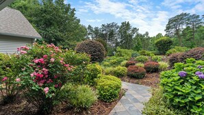 A landscaped garden with various shrubs and flowers, a stone pathway, and a house in the background.