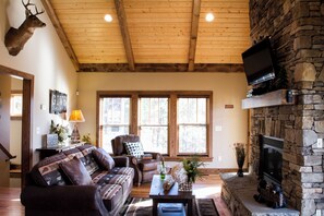 Télévision, cheminée, jeux vidéo