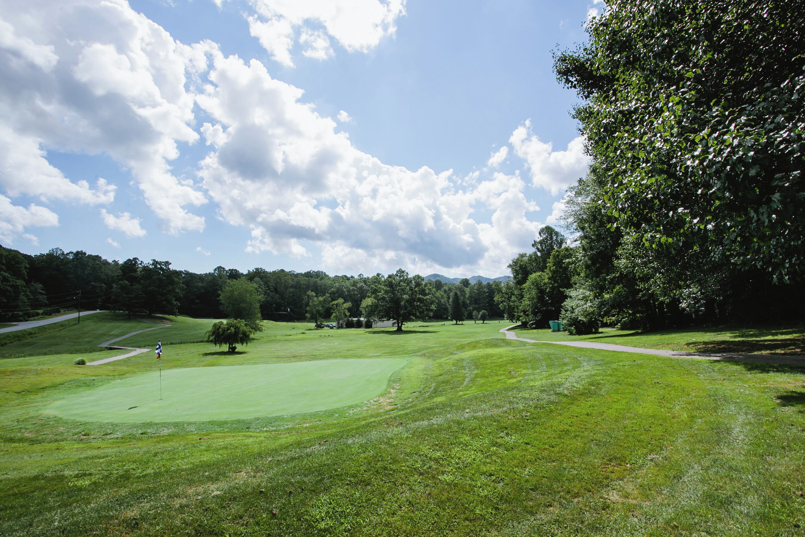 A golf course with a flagstick, a putting green, and a fairway.