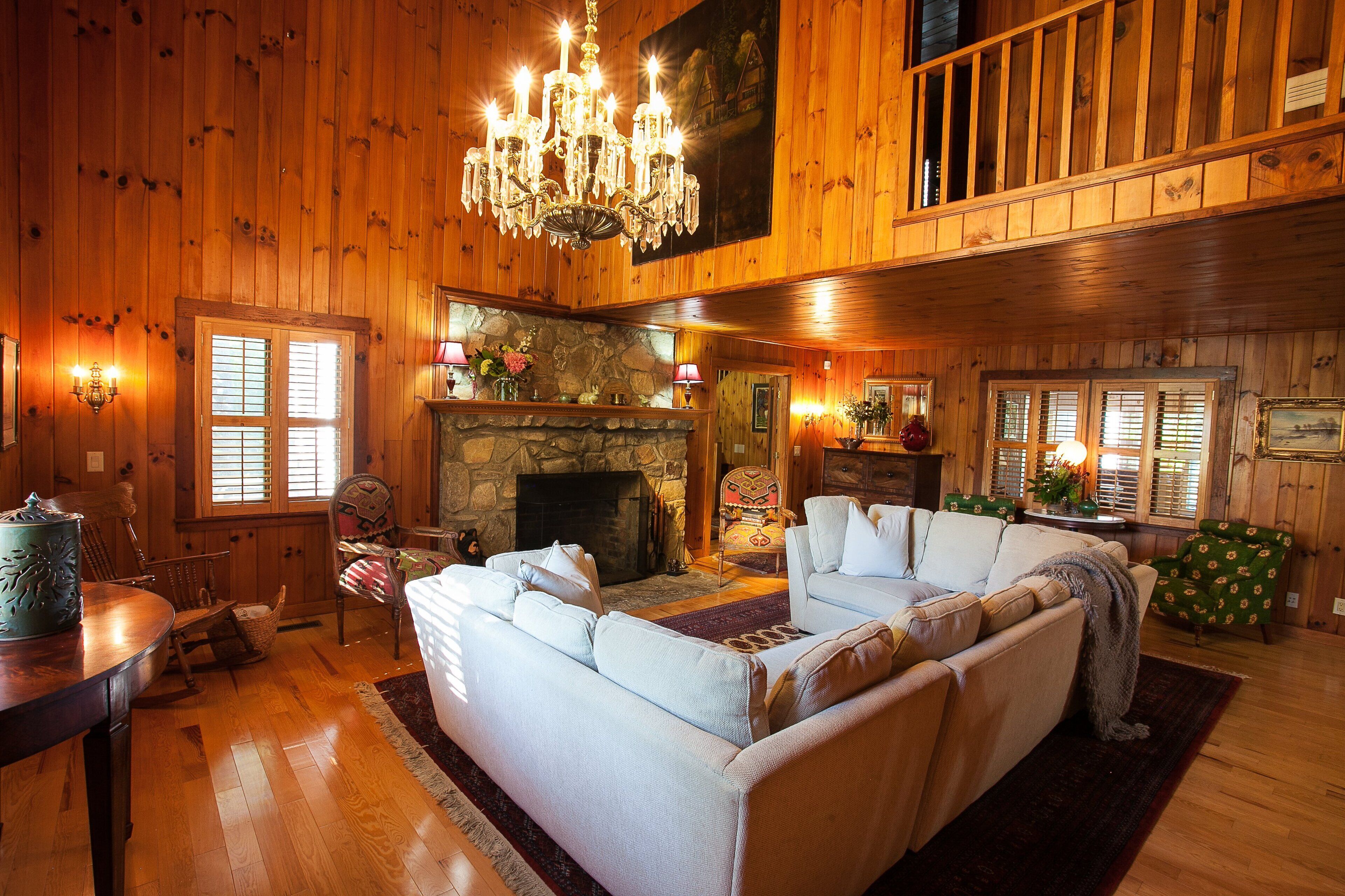 TV, fireplace, books