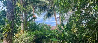 Tropical Mansion for up to 10 People (Exclusive Villa)