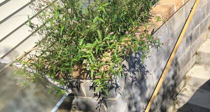 Cozy 1-bedroom apartment with WiFi, AC in enchanting Lansdale