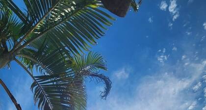 Cozy TinyHouse - Gaya Paraty