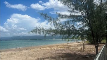 海灘