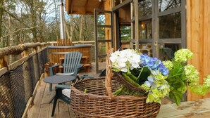 A wooden deck with wicker chairs and a table, a wicker basket with flowers, and a glass door leading inside. - Comfortable Chalet, in a Beautiful Holiday Park (Ruinen)