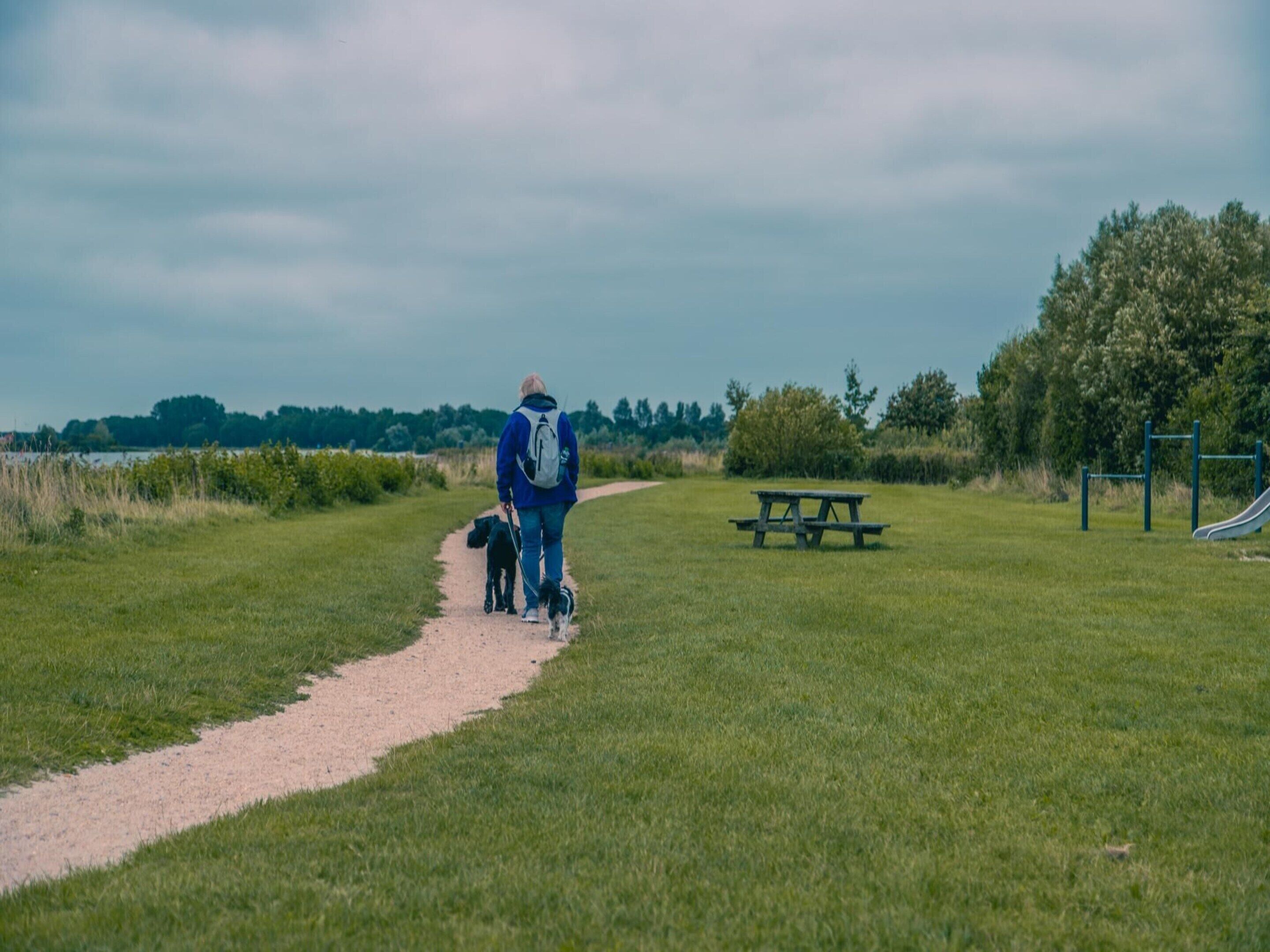 A pathway leading to a picnic table in a park with a lake in the background.
