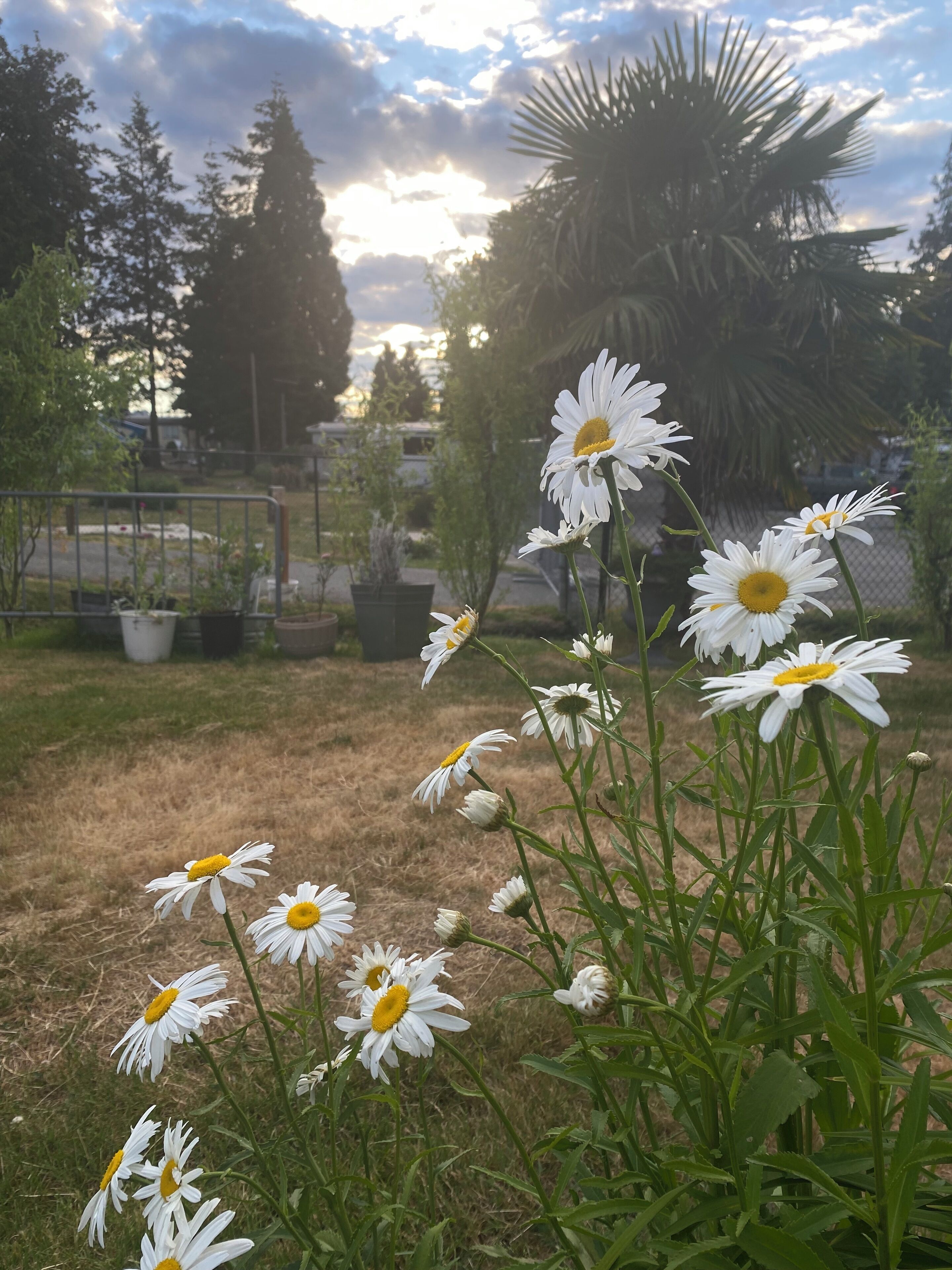 Cozy 2-bedroom apartment in delightful SeaTac with AC, WiFi