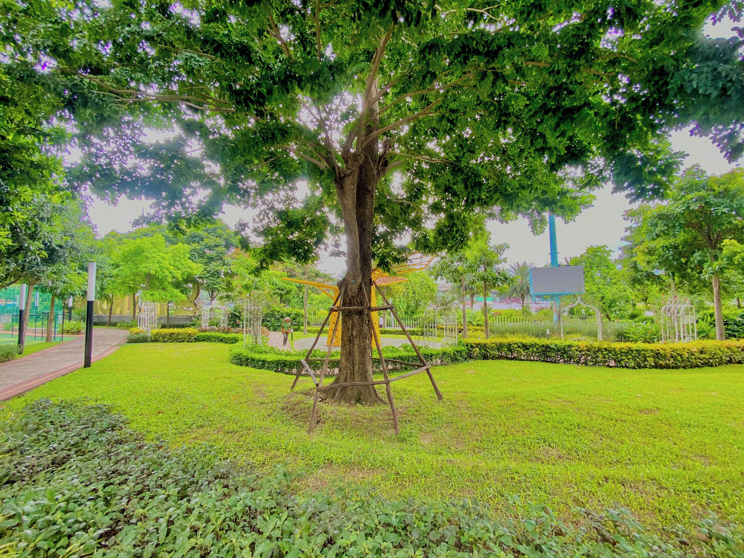 A park with a large tree, a playground, and a well-maintained lawn.