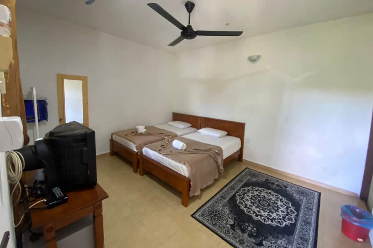 A hotel room with two beds, a ceiling fan, a desk with a computer, and a patterned rug.