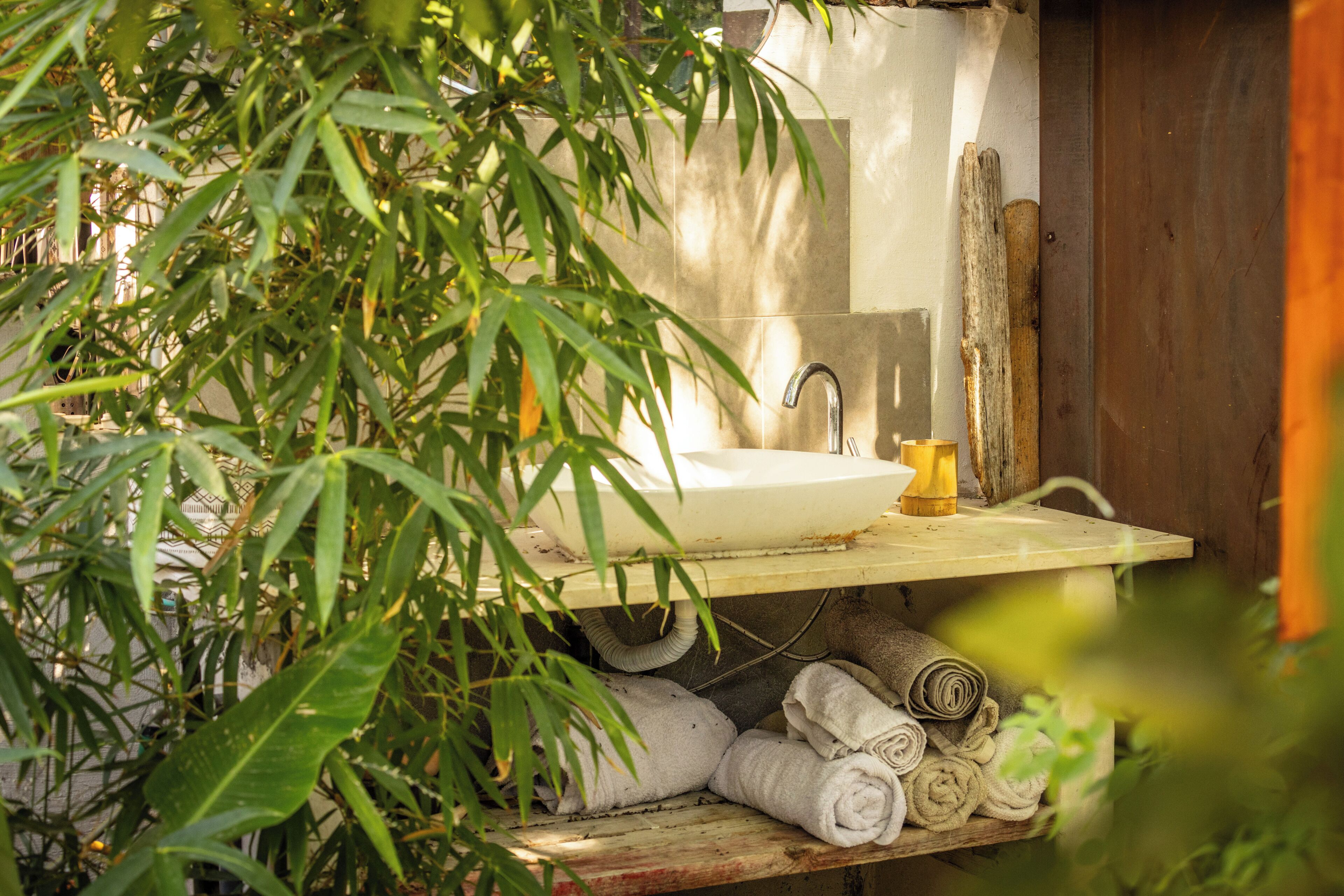 A bathroom with a white sink, a wooden shelf with rolled towels, and a bamboo plant in the foreground.