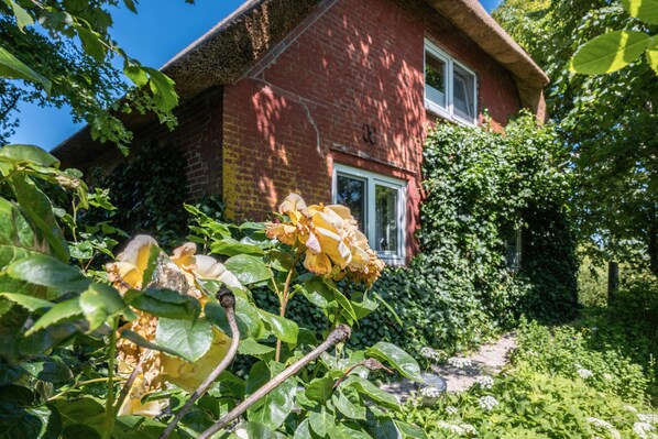 Detalle del exterior