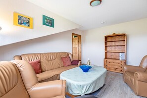 TV, DVD player, ping pong