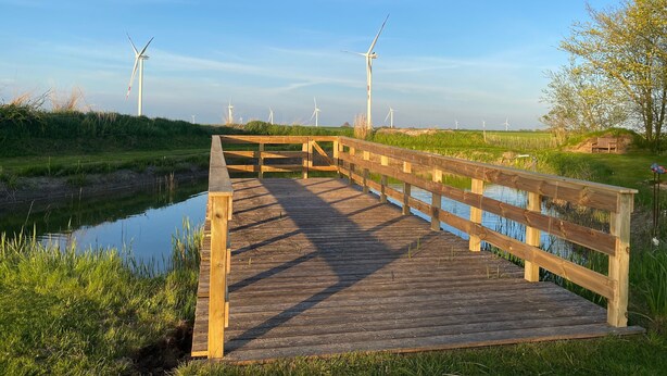 Une promenade en bois qui mène à un plan d’eau, avec des éoliennes en arrière-plan.