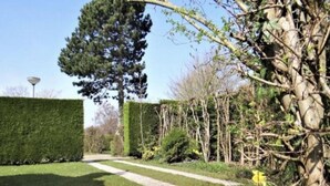 Ein gepflegter Garten mit einer ordentlich geschnittenen Hecke, einem gepflasterten Weg und verschiedenen Pflanzen und Bäumen.
