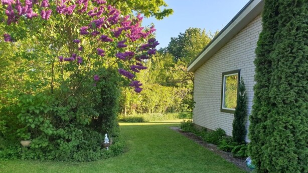 Bungalow | Garden - Brilliant Bungalow in Kamperland by the Lake (Kamperland)
