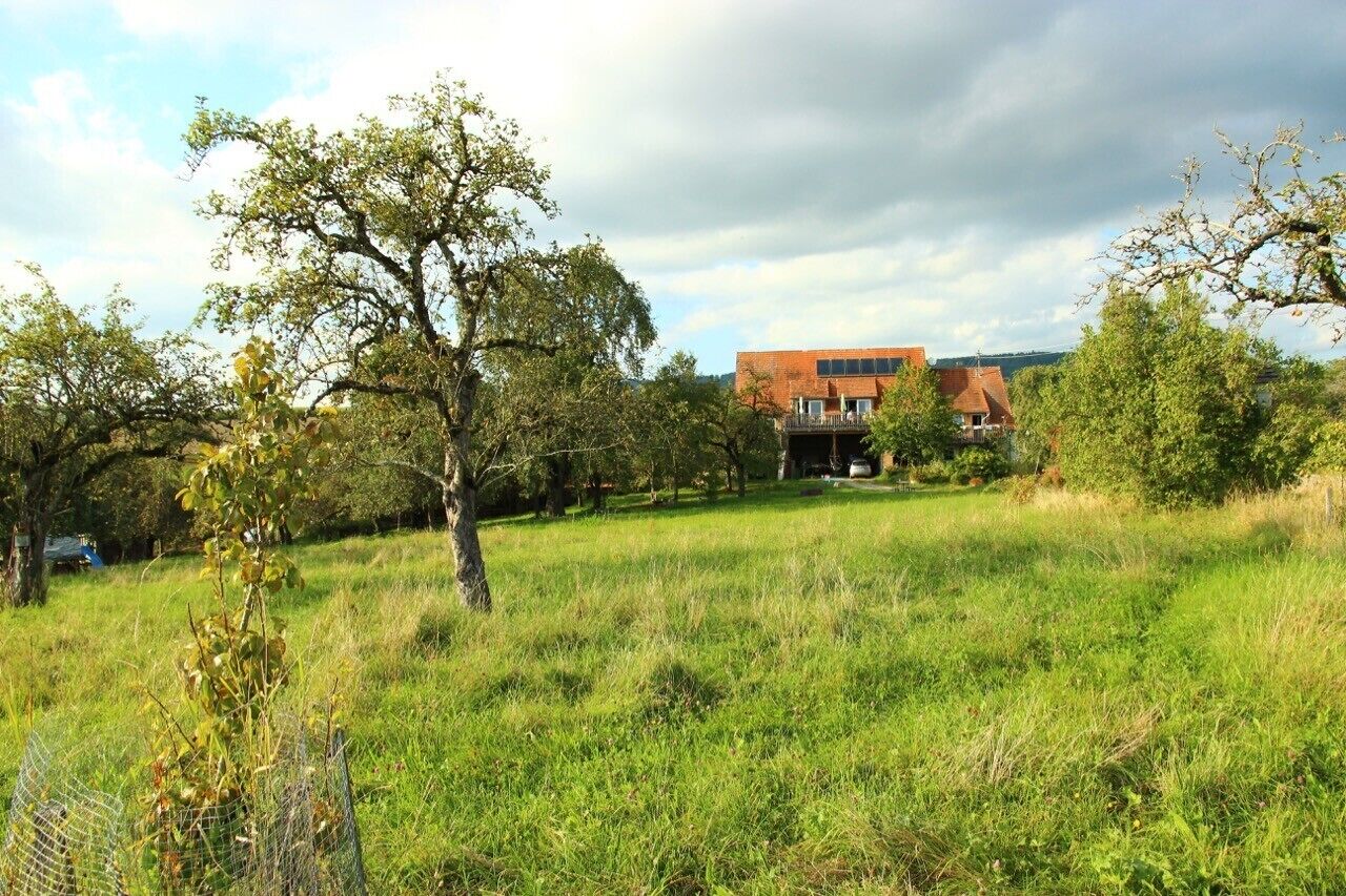 Terrain de l’hébergement 