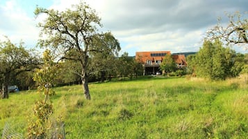 Terrain de l’hébergement