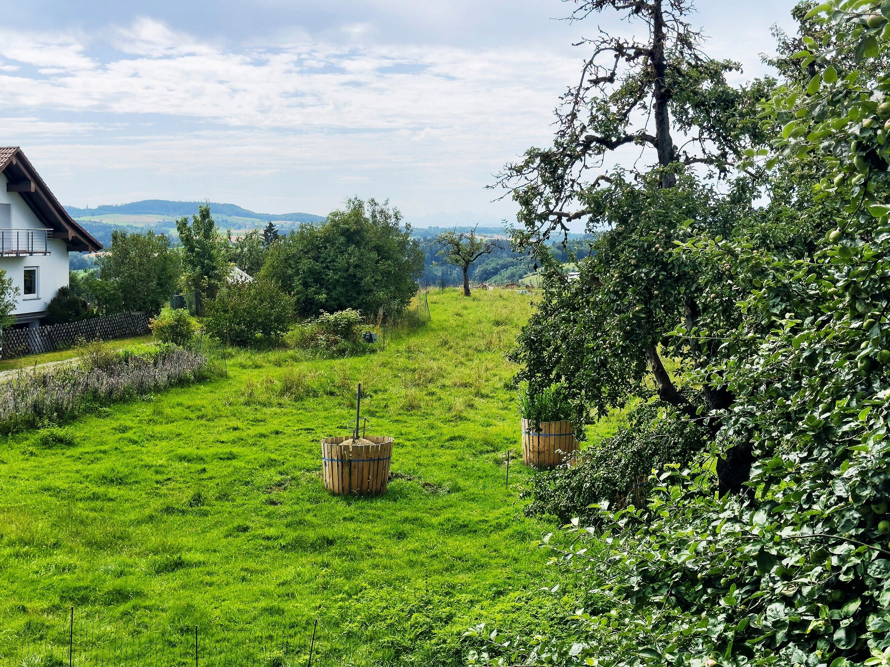 Terrain de l’hébergement 