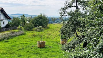 Terrain de l’hébergement