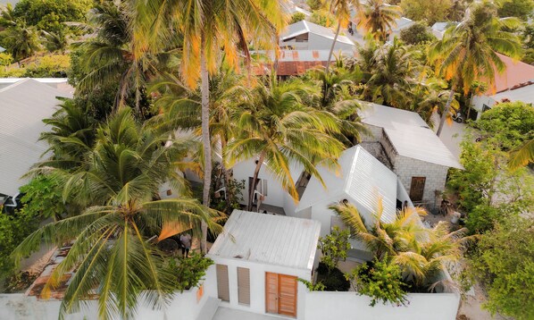 A residential area with white buildings, palm trees, and a small house with a sloped roof.