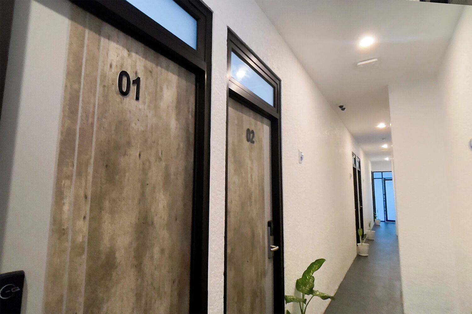 A hallway with two doors labeled 01 and 02, leading to rooms. The hallway is well-lit with ceiling lights and has a potted plant on the right.