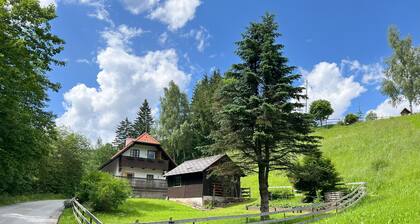 Holiday Home 'Maierhofer' with private terrace, private garden and WLAN