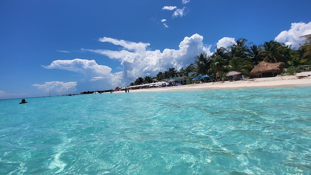A beach with clear turquoise water, palm trees, and a sandy shore.