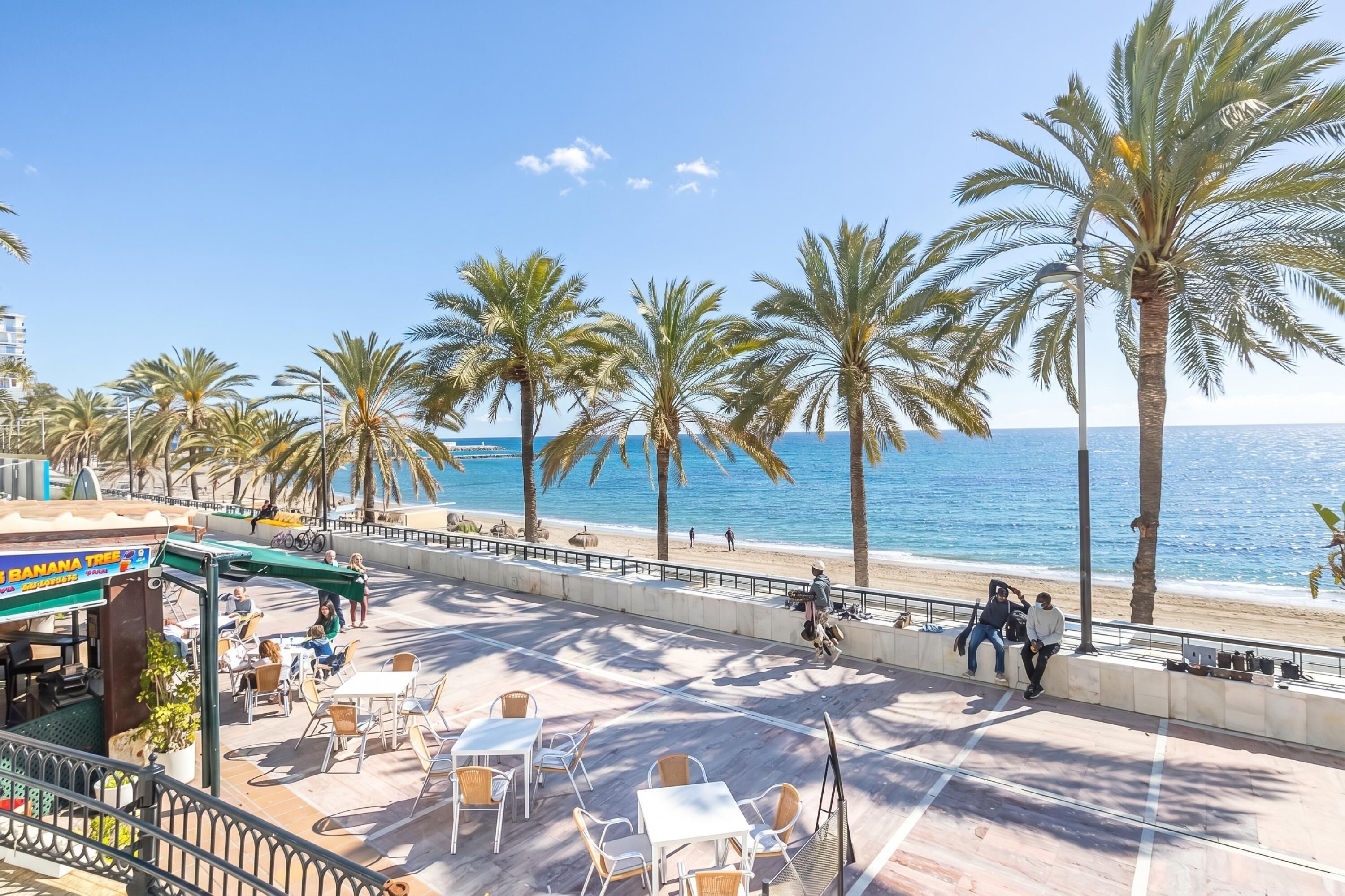 A beachside café with outdoor seating, palm trees, and a view of the sea.