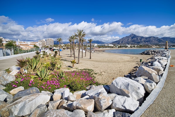 A coastal landscape with a rocky shoreline, palm trees, and a mountain in the background.
