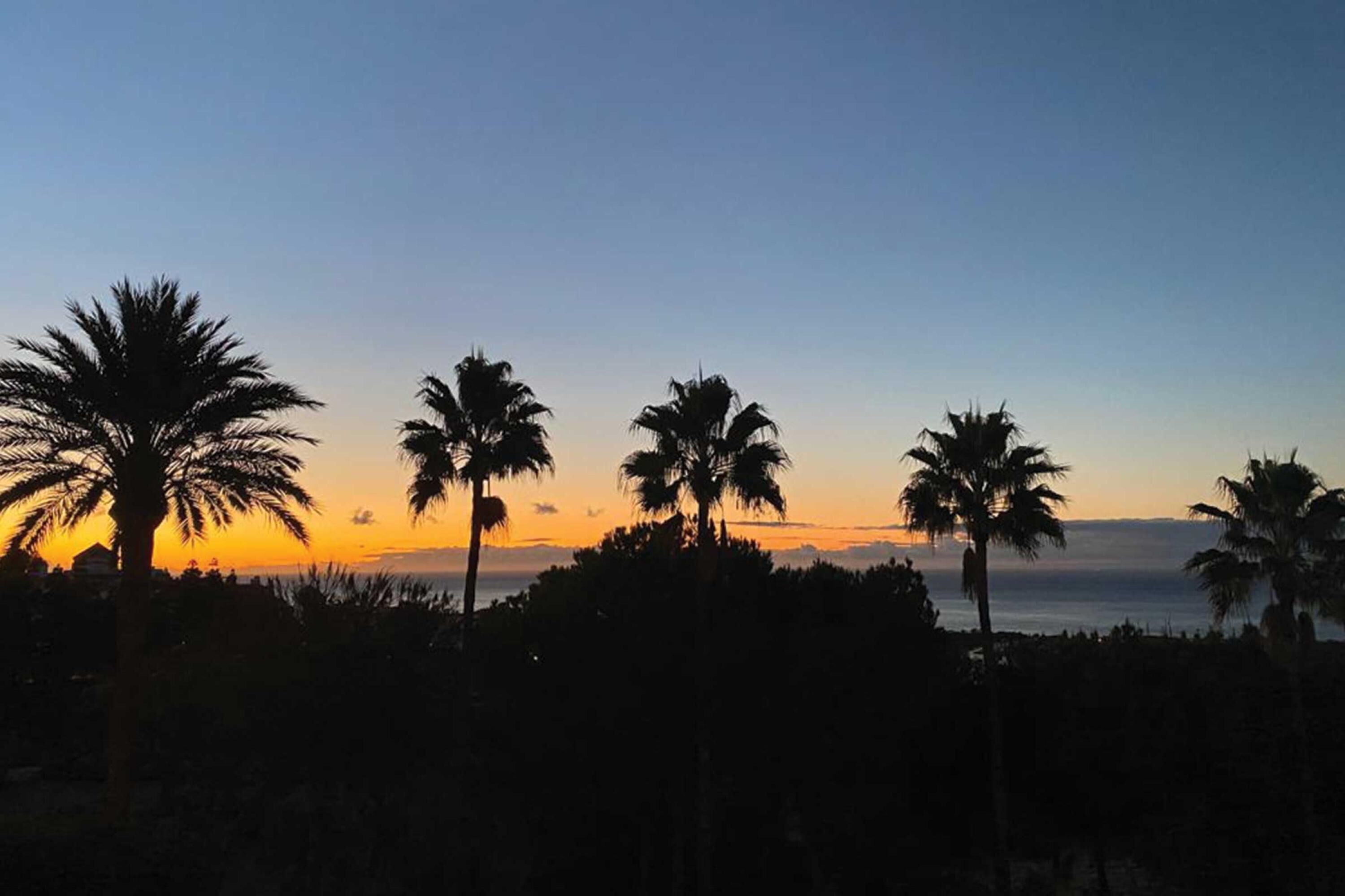 Zonsondergang met silhouetten van palmbomen tegen de lucht.