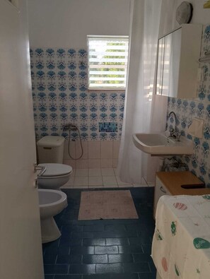 Shower, towels, soap, toilet paper