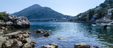A coastal scene with rocky shores, calm water, and a mountain in the background.